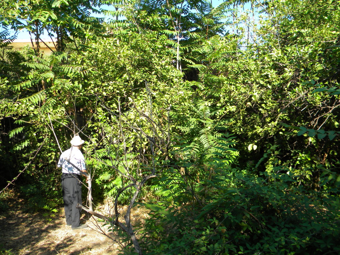 DSCN8099 .JPG
